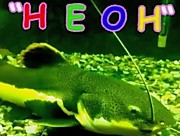 Зооклуб "Неон" Бердянск